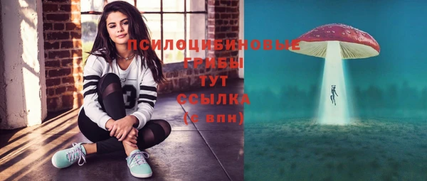 mdpv Новокубанск