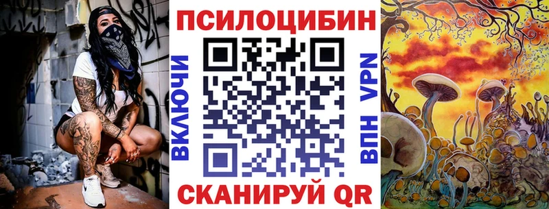 kraken ССЫЛКА  Новосибирск  Псилоцибиновые грибы Cubensis 